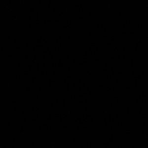 Meet your Posher, Bianca